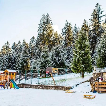 Hotel Floare De Colt Mînăstirea Humorului Εξωτερικό φωτογραφία