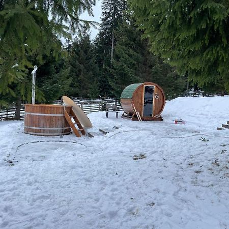 Hotel Floare De Colt Mînăstirea Humorului Εξωτερικό φωτογραφία