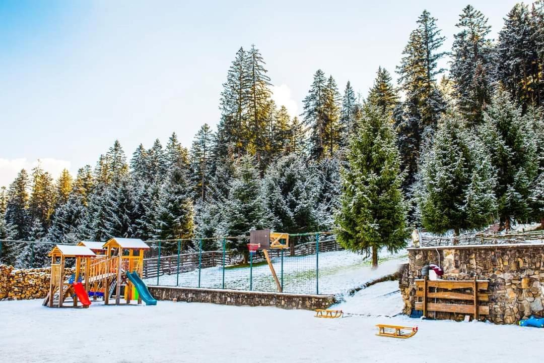 Hotel Floare De Colt Mînăstirea Humorului Εξωτερικό φωτογραφία