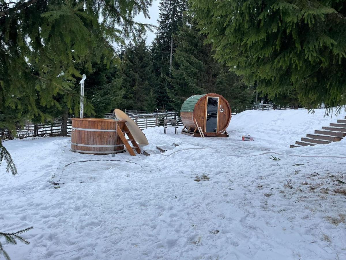 Hotel Floare De Colt Mînăstirea Humorului Εξωτερικό φωτογραφία