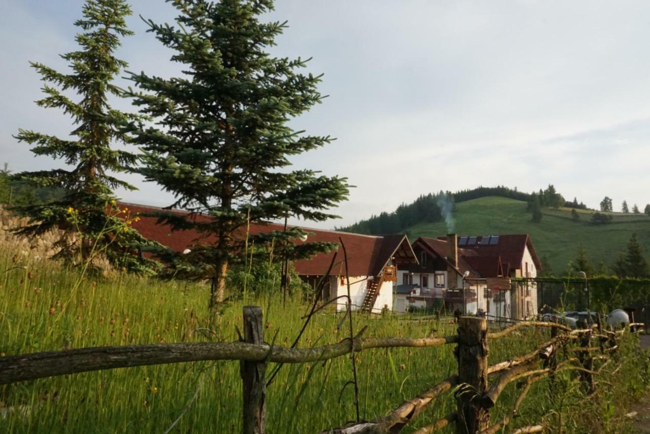 Hotel Floare De Colt Mînăstirea Humorului Εξωτερικό φωτογραφία