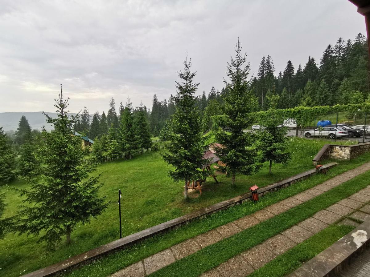 Hotel Floare De Colt Mînăstirea Humorului Εξωτερικό φωτογραφία