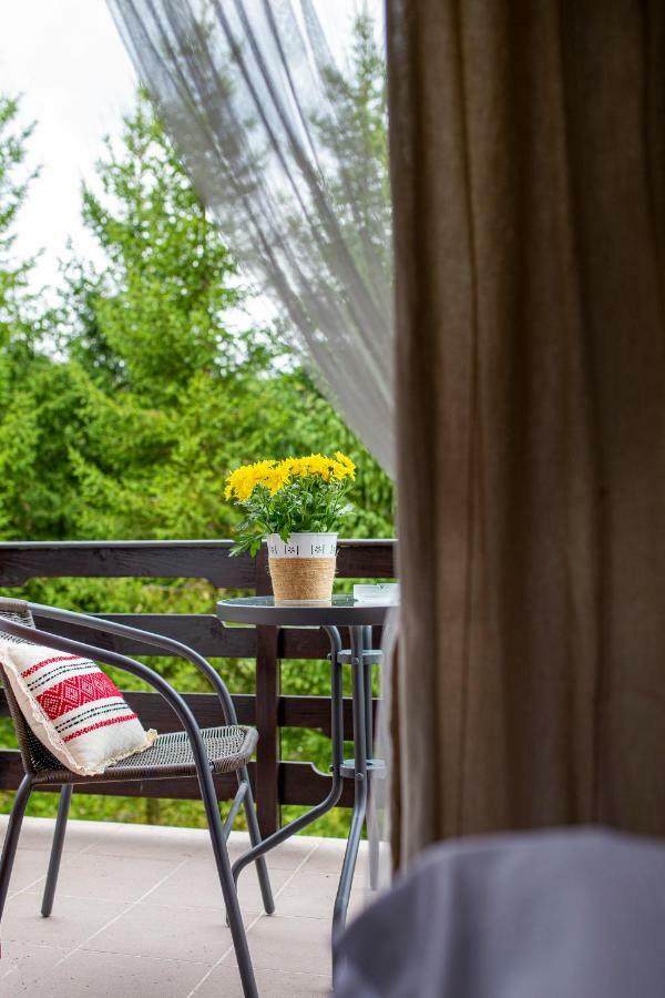 Hotel Floare De Colt Mînăstirea Humorului Εξωτερικό φωτογραφία